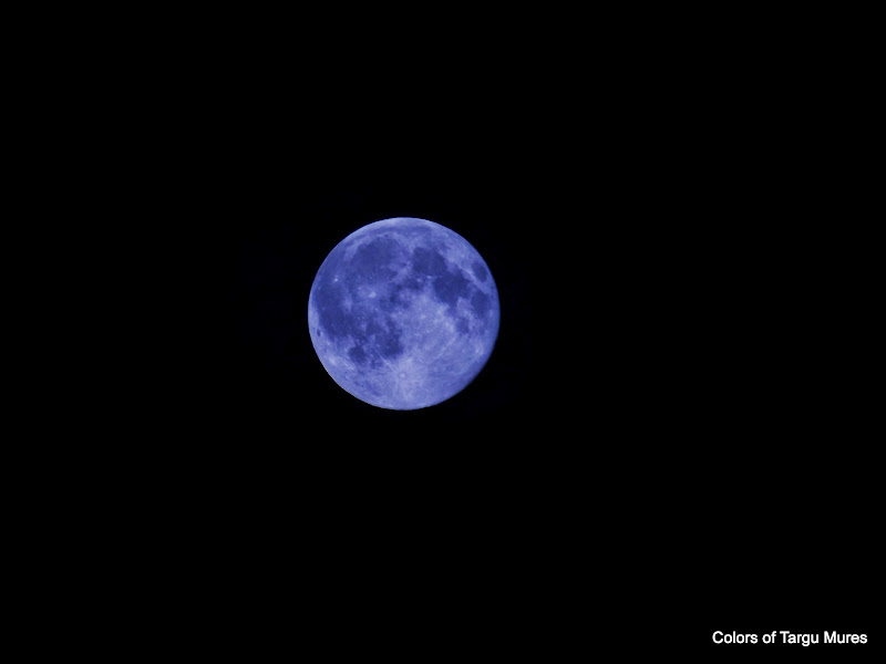 Luna albastra, Tg. Mures