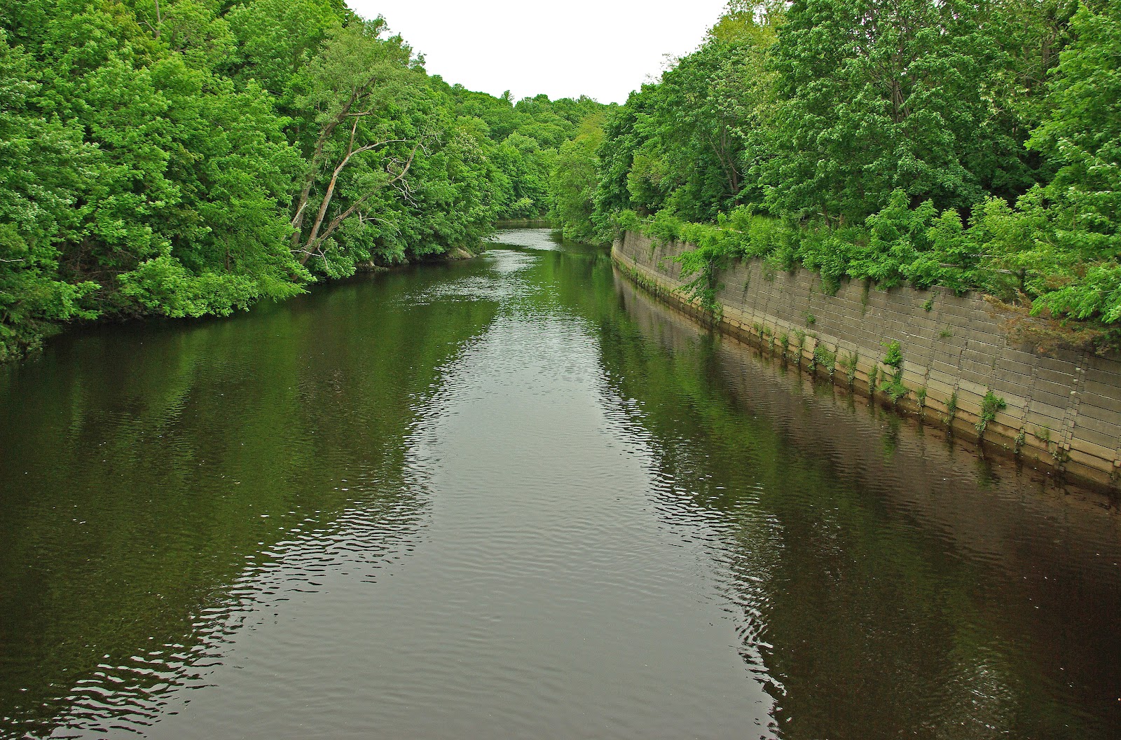Hiking in Maine with Kelley 6/2/12 Kenduskeag Stream Trail