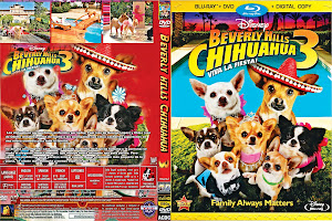 Chihuahua 3 Exclusiva Protegida