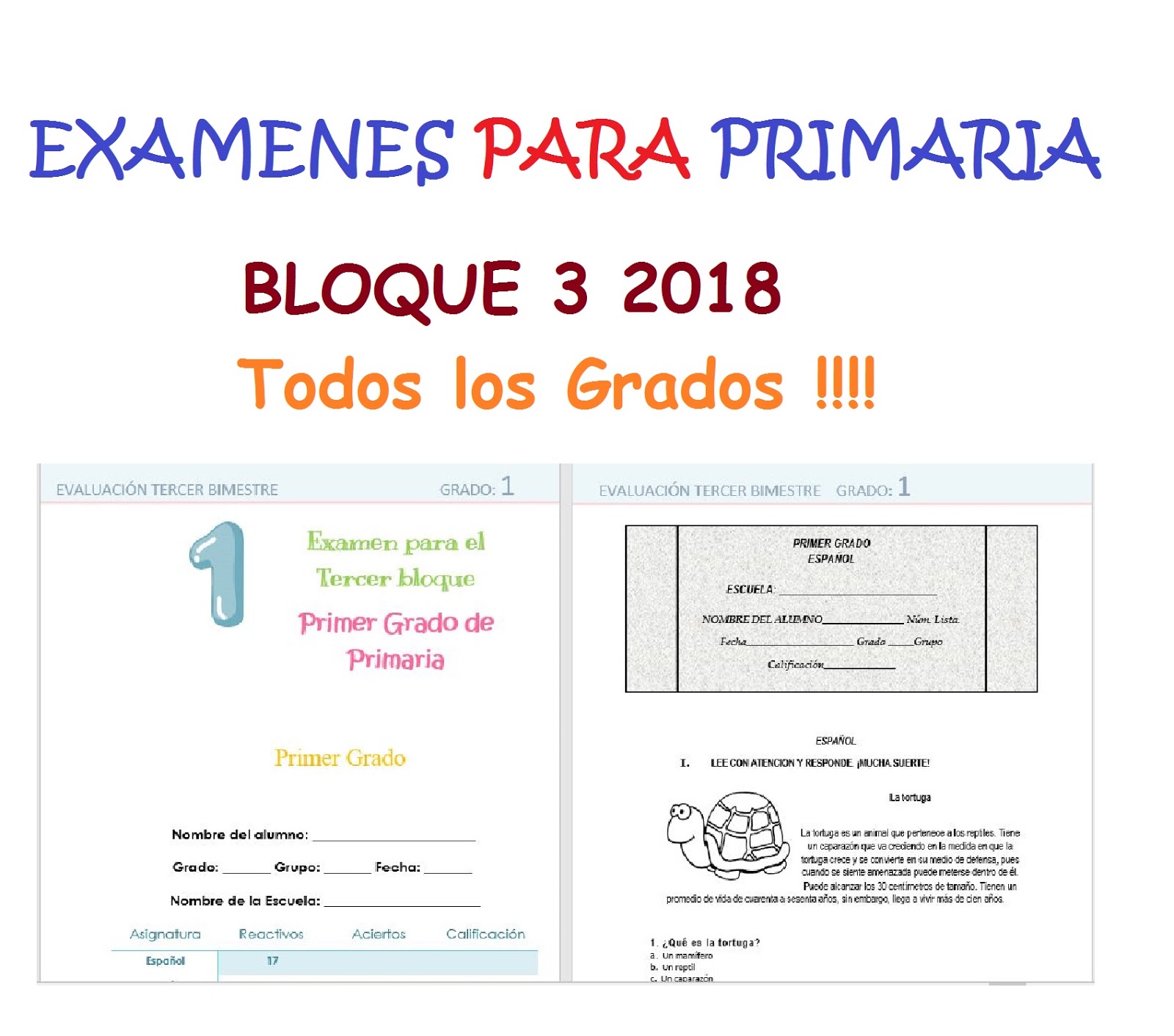 Planeaciones Primaria Gratis Bloque 3 2015 2016 | examen de 5 grado de primaria 3 bimestre 2016 examen Planeaciones Primaria Gratis Bloque 3 2015 2016 | examen de 5 grado de primaria 3 bimestre 2016 examen