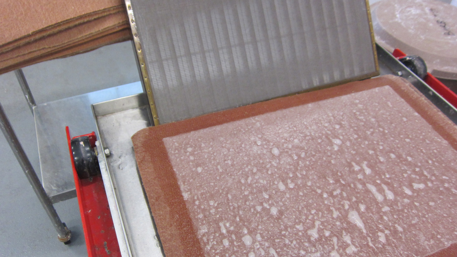 RADHA • PANDEY Spring 2012 Papermaking