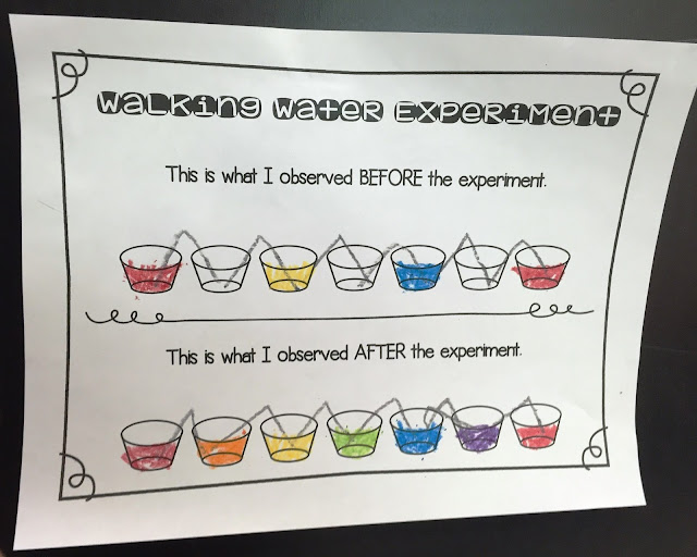 Kindergarten Rocks!: Walking Water Experiement