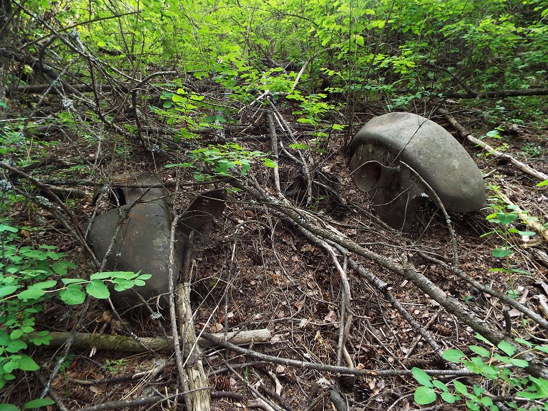 My World In Pictures 22 June 2015 Oldest Geocache in Dishman Hills