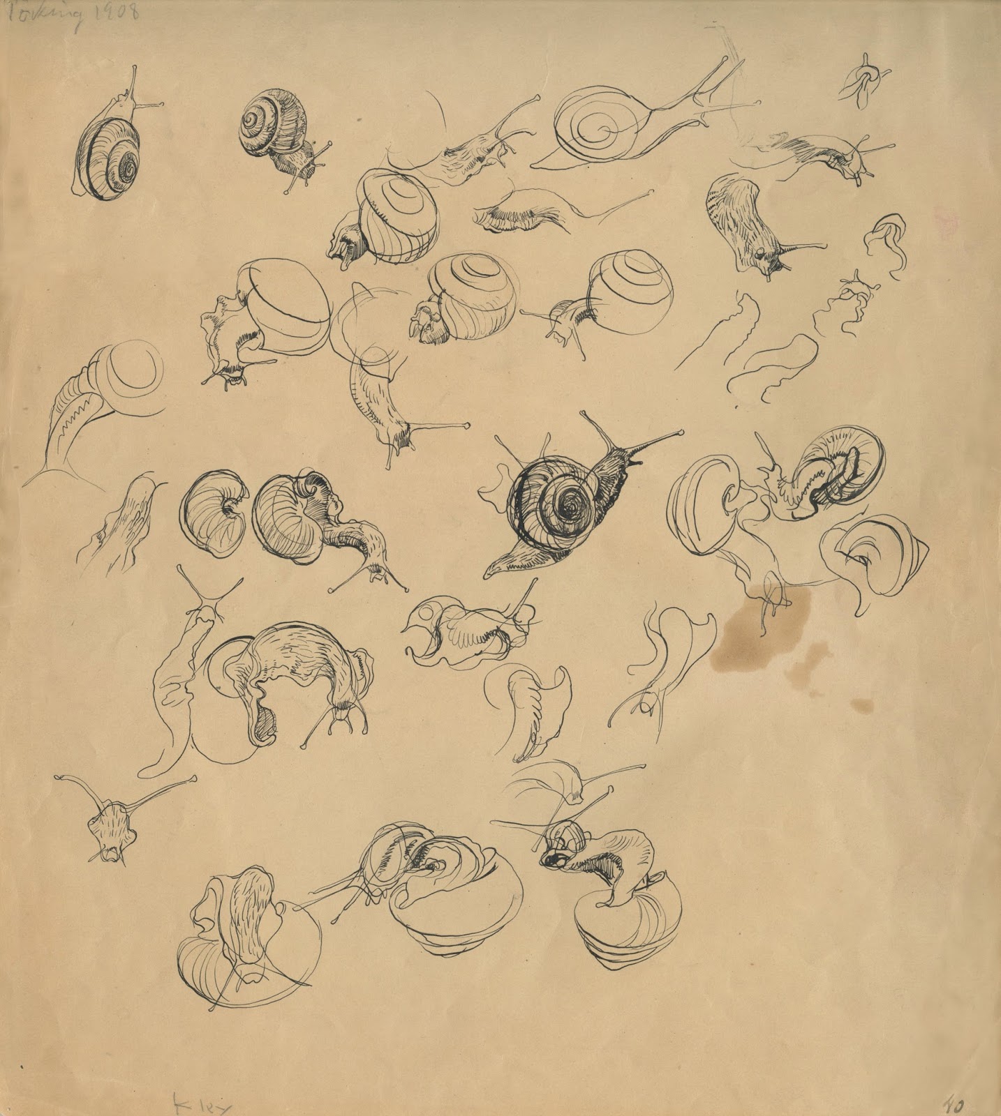 ILLUSTRATION ART HEINRICH KLEY FEEDS POMEGRANATE SEEDS TO THE MUSE