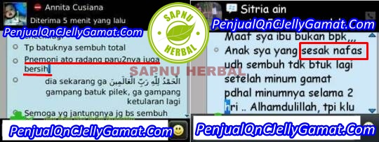 Penyebab Sesak Nafas & Obat Sesak Nafas atau Dyspnea Tradisional, Ampuh dan Aman Penyebab Sesak Nafas & Obat Sesak Nafas atau Dyspnea Tradisional, Ampuh dan Aman