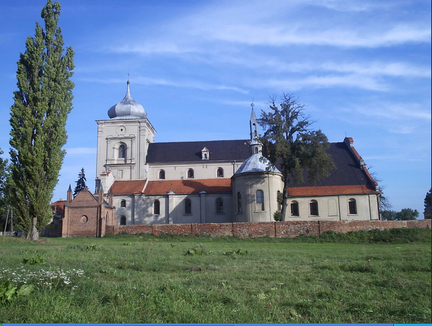 Historia Polski Borek Wielkopolski