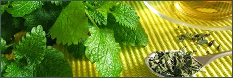 Las hierbas y remedios naturales para perder peso