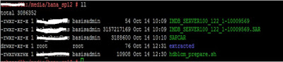 HANA SP12 Upgrade