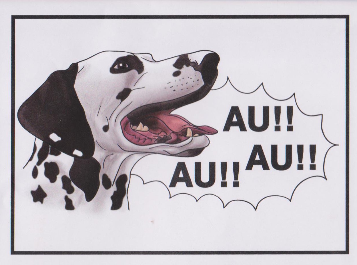 MIMOS E ENCANTOS DA EDUCAÇÃO CARTAZES PARA TRABALHAR OS SONS DE ANIMAIS. MIMOS E ENCANTOS DA EDUCAÇÃO CARTAZES PARA TRABALHAR OS SONS DE ANIMAIS.