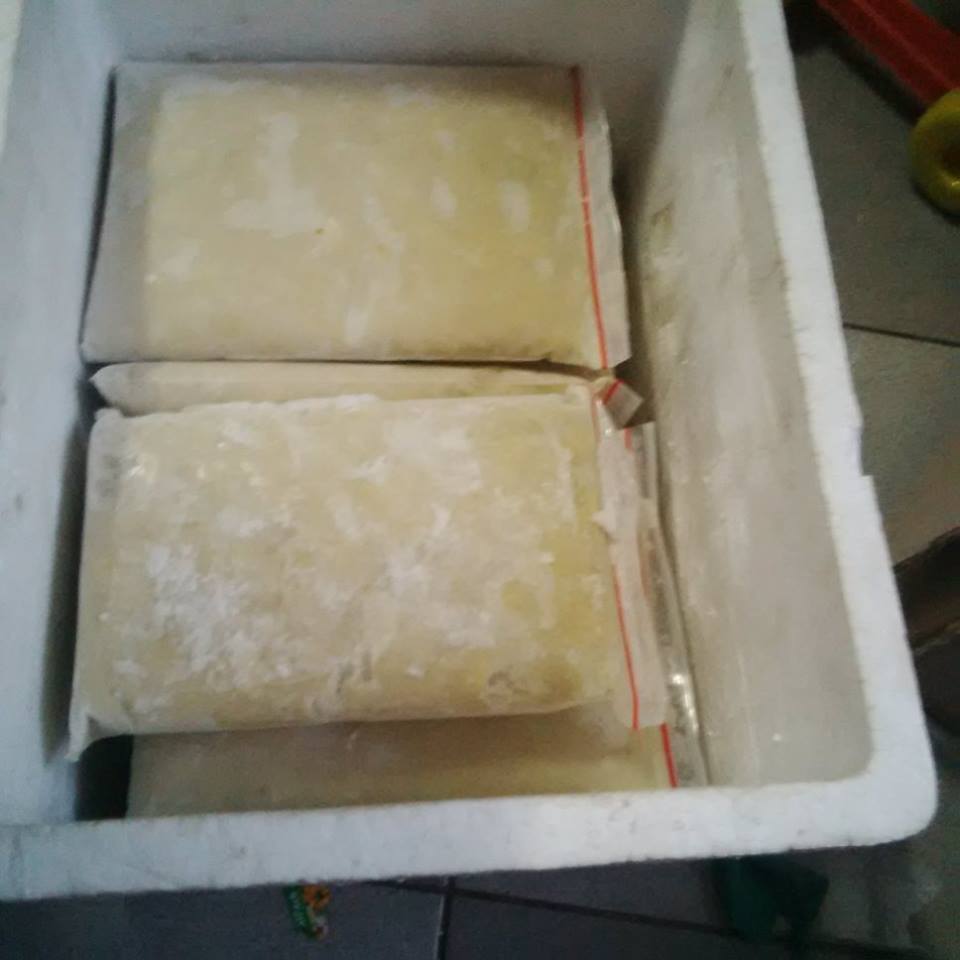 Jual Durian Kiloan Beku di Jakarta