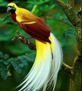 07 10 14 Plengdut Com Learning Articles And Book Reading Online