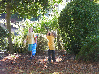 shooting horse chestnuts down from a conker tree