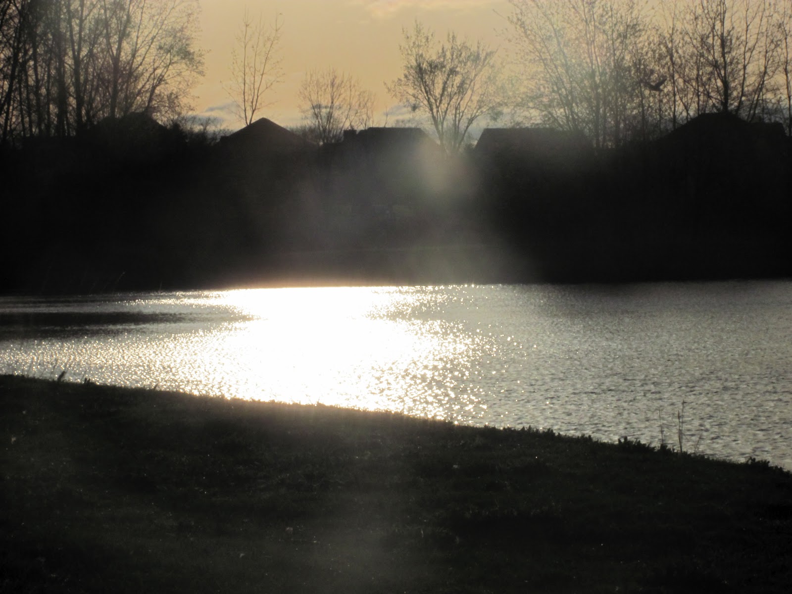 Digital Photography Assignments Photo Assignment 2 Black and White