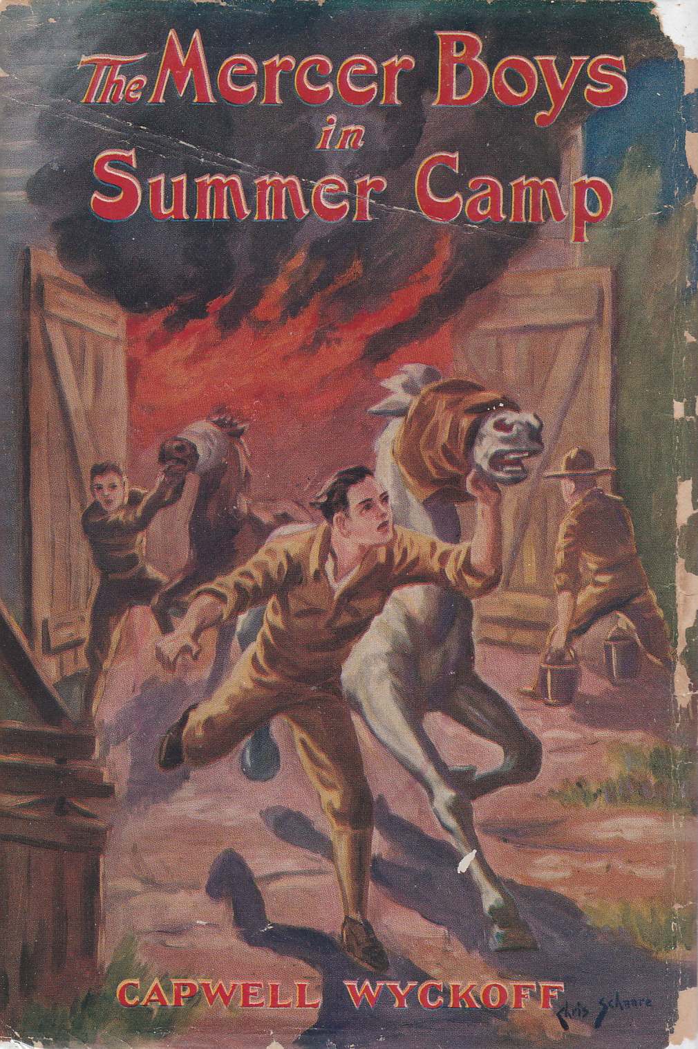 Series Books for Girls The Mercer Boys 5 Beach Patrol and 6 Summer Camp