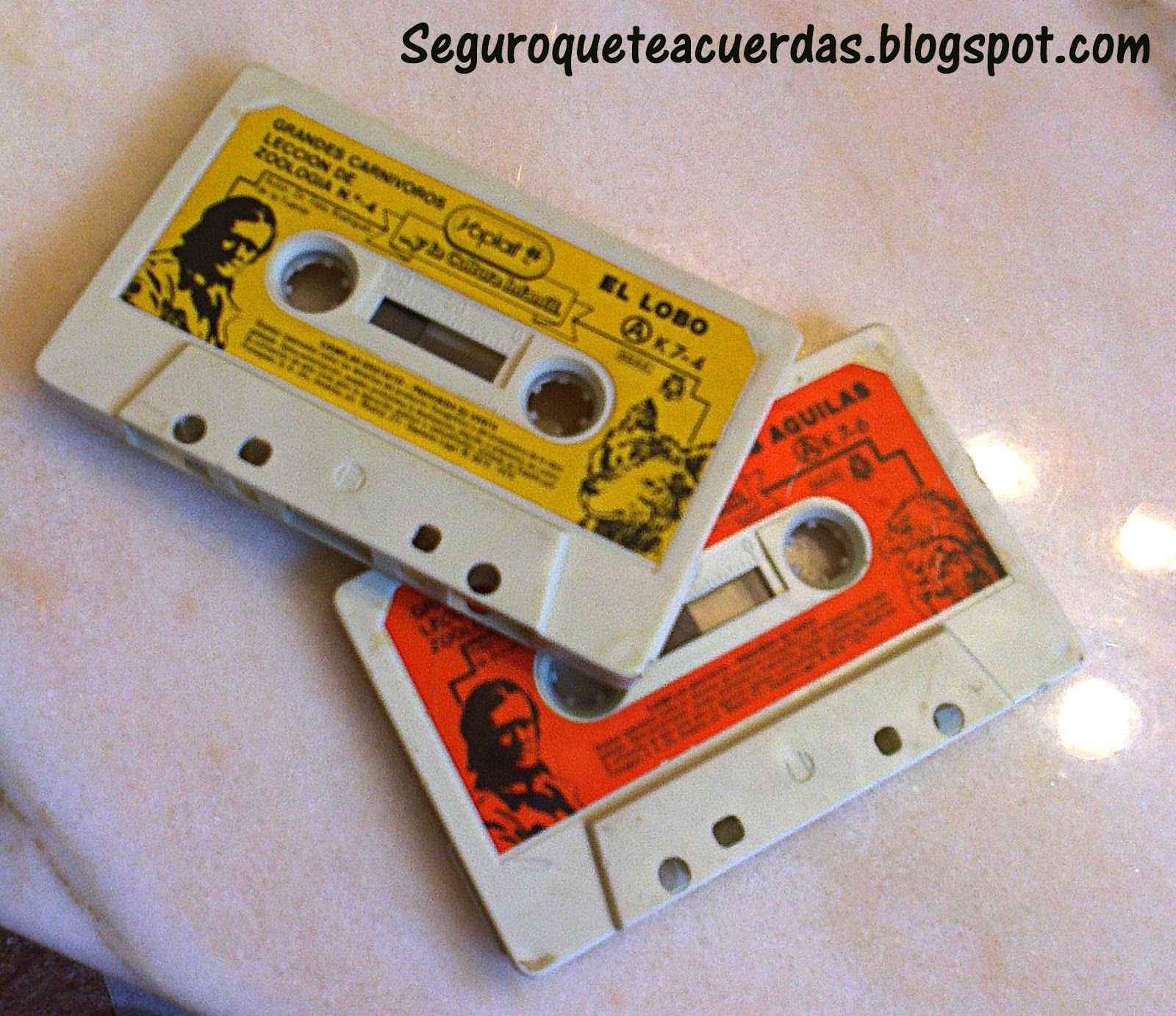 Cassettes.jpg