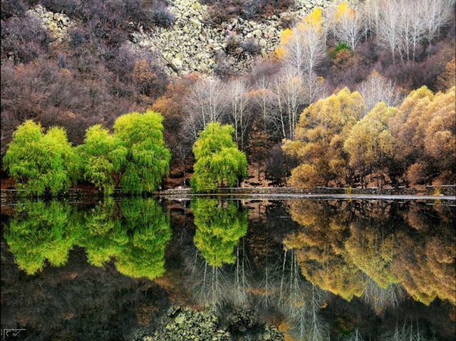 Best WallPapers: Beautifull Wallpapers Of 2012