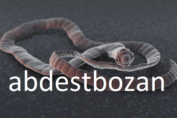 abdestbozan