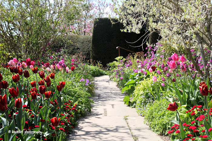 весеннее настроение весеннее настроение