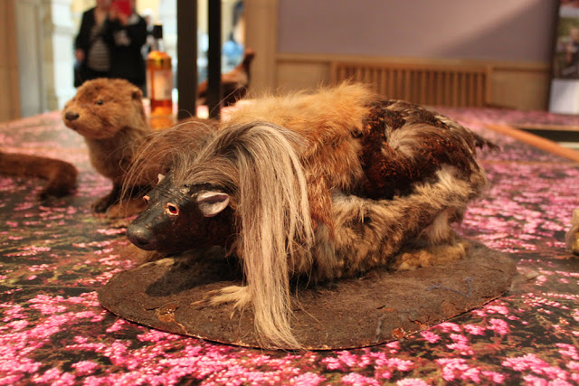 Skotlanti - Glasgow 40 Skotlanti - Glasgow 39