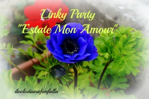 Linky Party Mon Amour