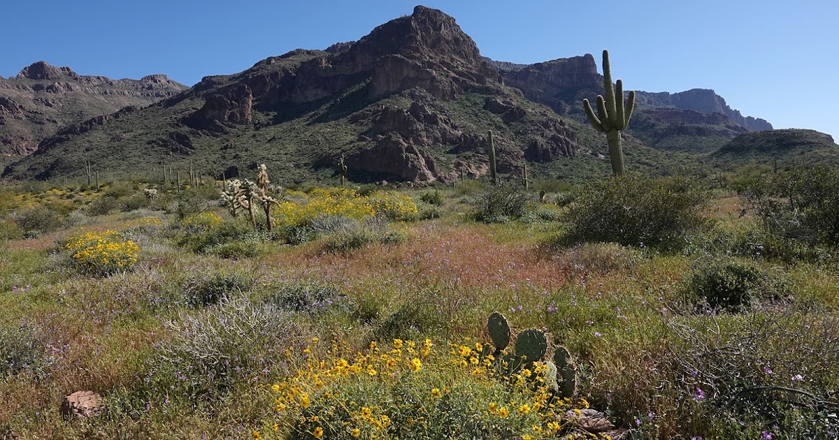 Stan's Travels Gold Canyon, AZ (3/25/2019)