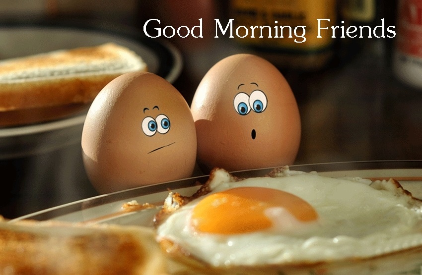 Good Morning Funny Images For Whatsapp Good Morning Funny Images For Whatsapp