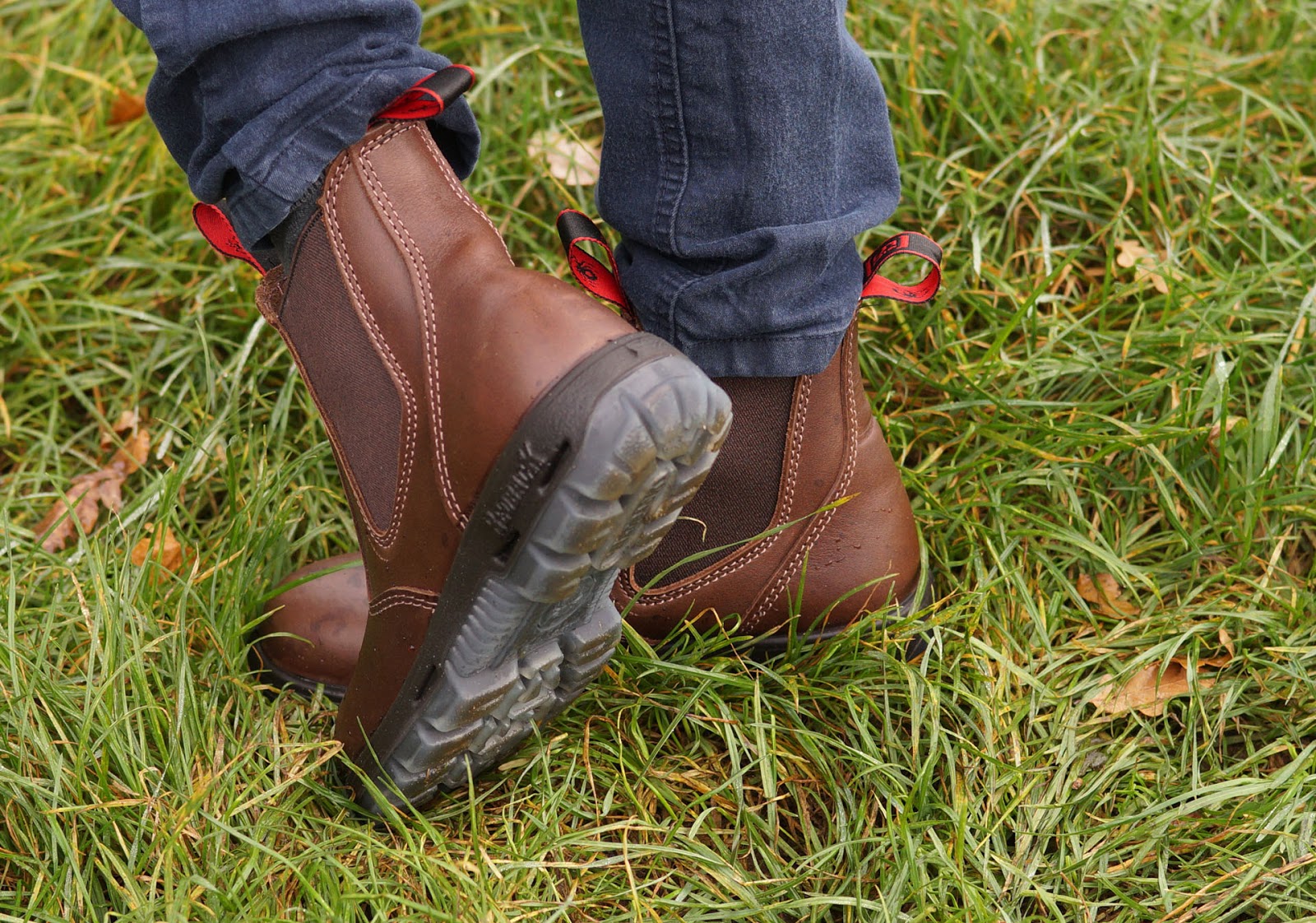 great barrier redback boots