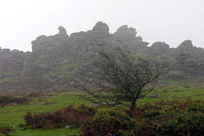 In the Company of Plants and Rocks: Geological Pilgrimage: The Tors of