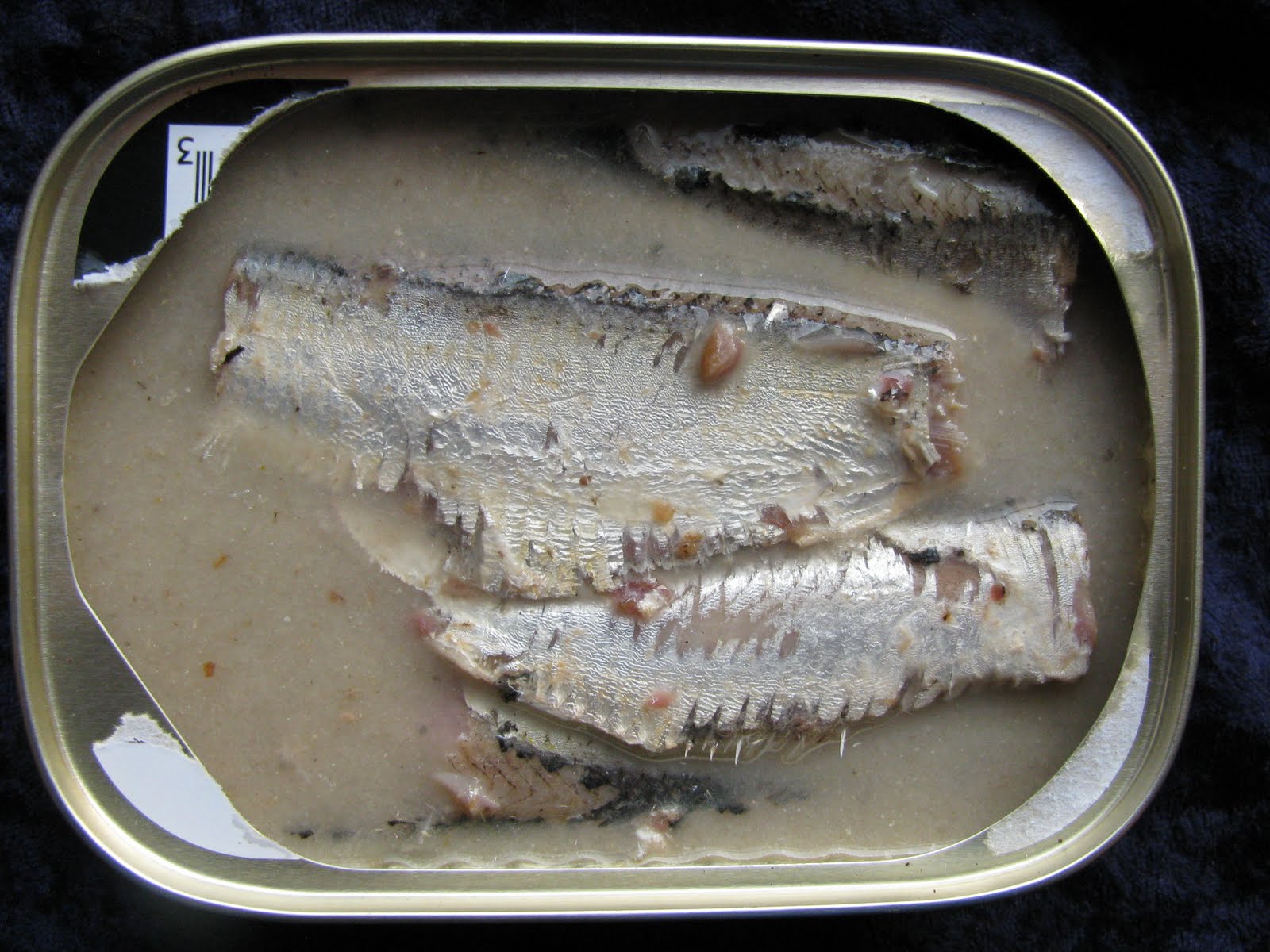 Mouth Full of Sardines Deep Cove 7