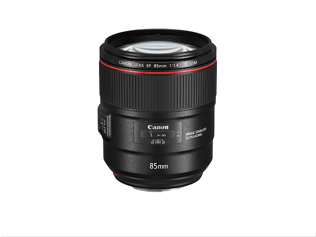 Canon EOS 6D Mark II, Kamera Full-Frame untuk Fotografer Profesional
