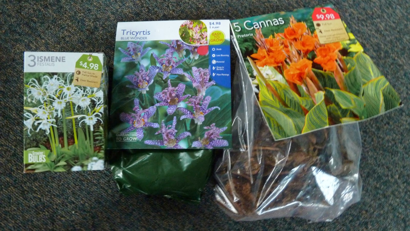 Hooray! Plants! Gardening, How does that Work?