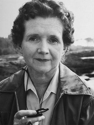 look up pictures of rachel carson look up pictures of rachel carson