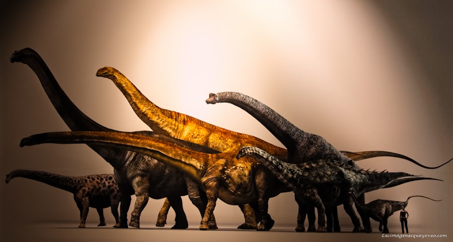 Museo de Paleontología de Castilla la Mancha (MUPA). Tierra de Dinosaurios