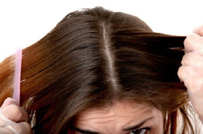 Comment renforcer ses cheveux avec ce conditionneur naturel fait maison Comment renforcer ses cheveux avec ce conditionneur naturel fait maison