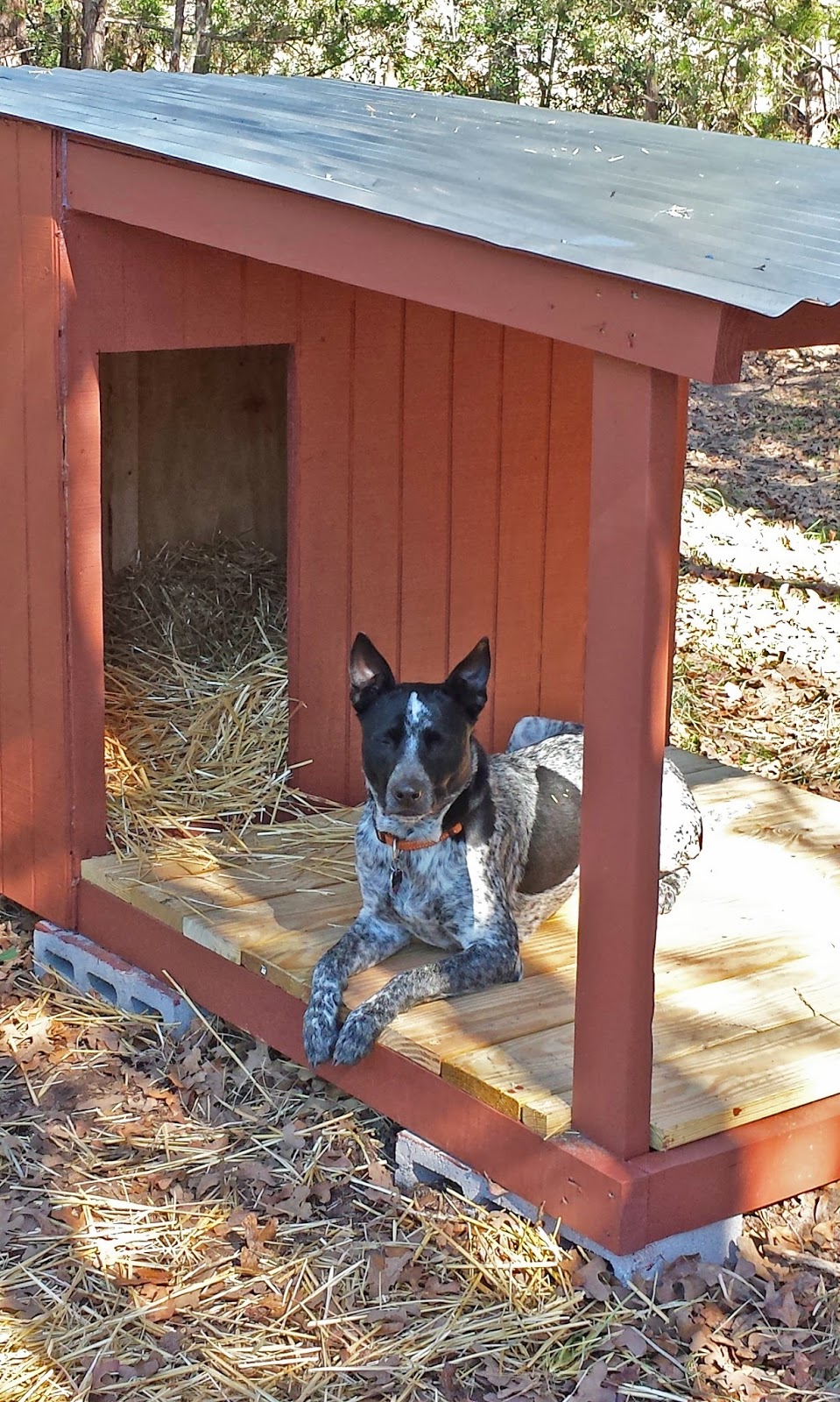 DIY Attempt: Country Dog House with Porch