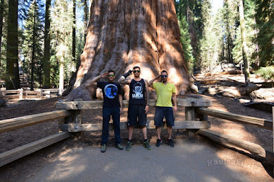 Sequoia National Park- caminando por el Bosque Gigante - Viaje con tienda de campaña por el Oeste Americano (17)
