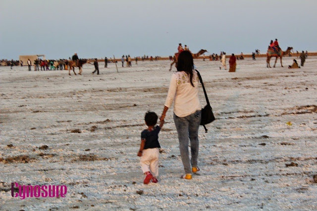 What To Do During Rann Utsav, Detailed Itinerary For A Day At The White Desert