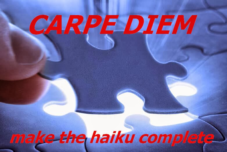 a complete haiki