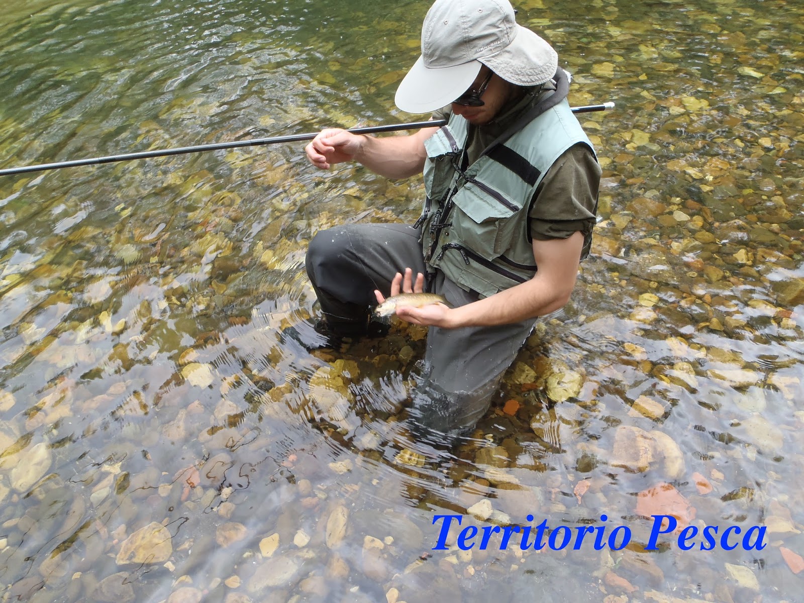 CURSO DE OBTENCIÓN DE LICENCIA DE PESCA CONTINENTAL EN ANDALUCÍA