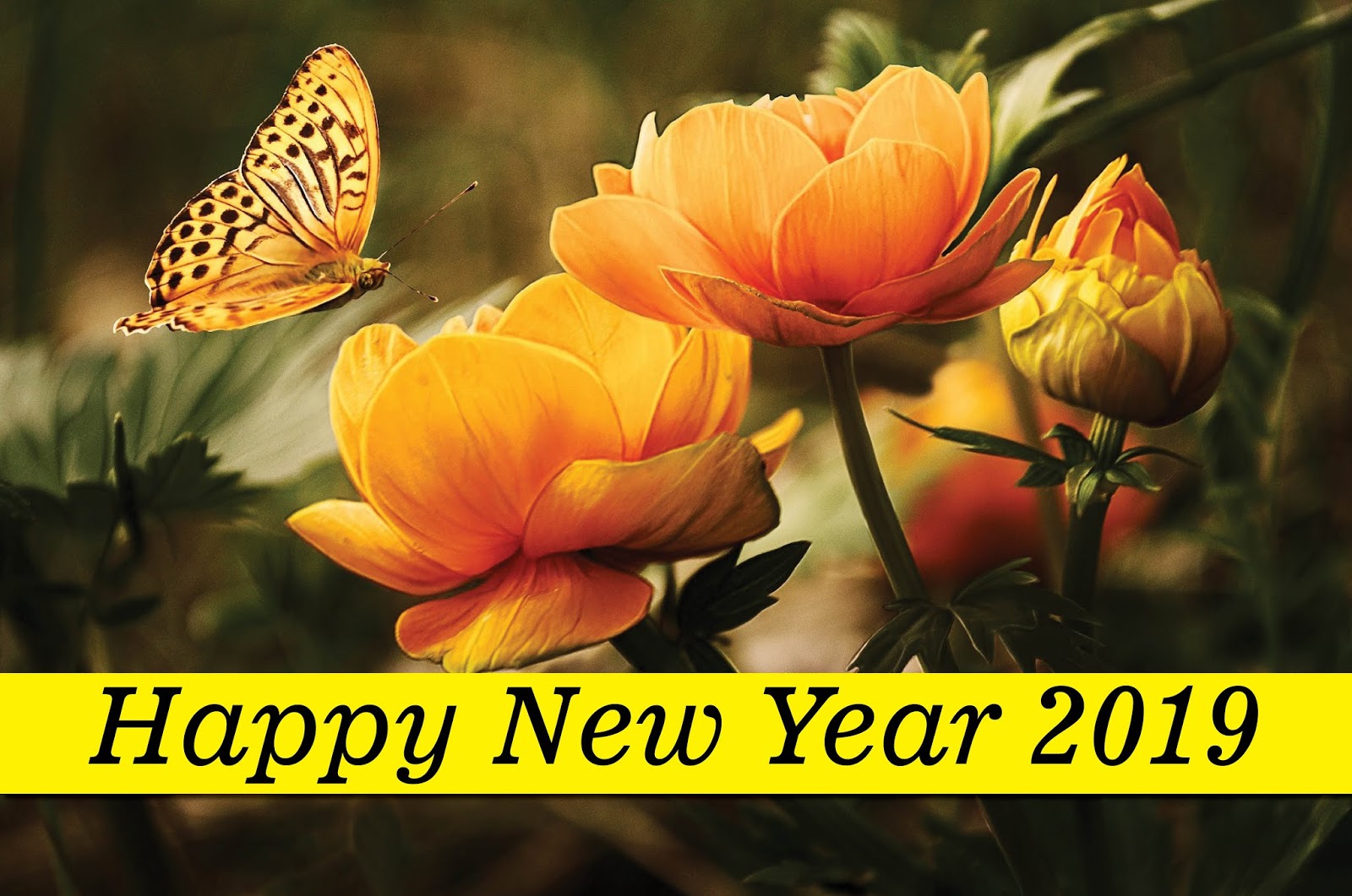 Happy New Year Greetings for Friends - Happy New Year 2019 Images