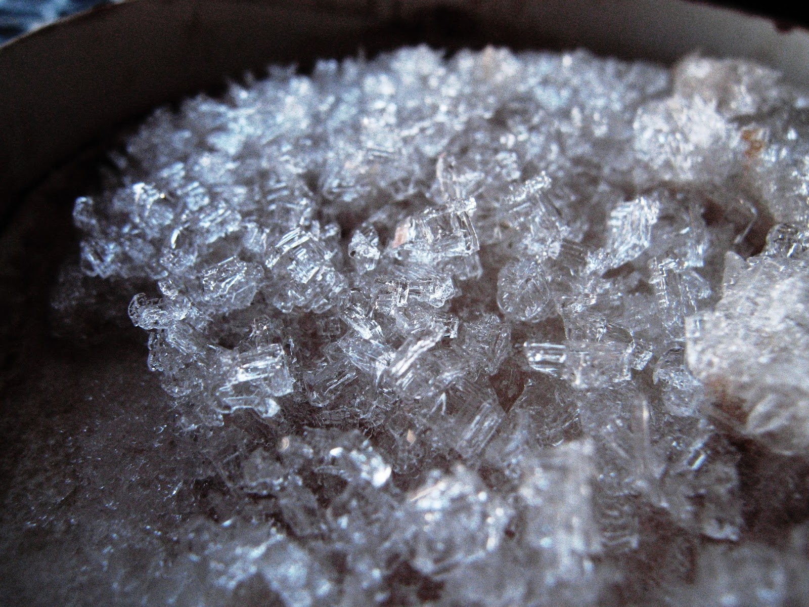 The Lansey Brothers' Blog When you don't eat ice cream for 2 years