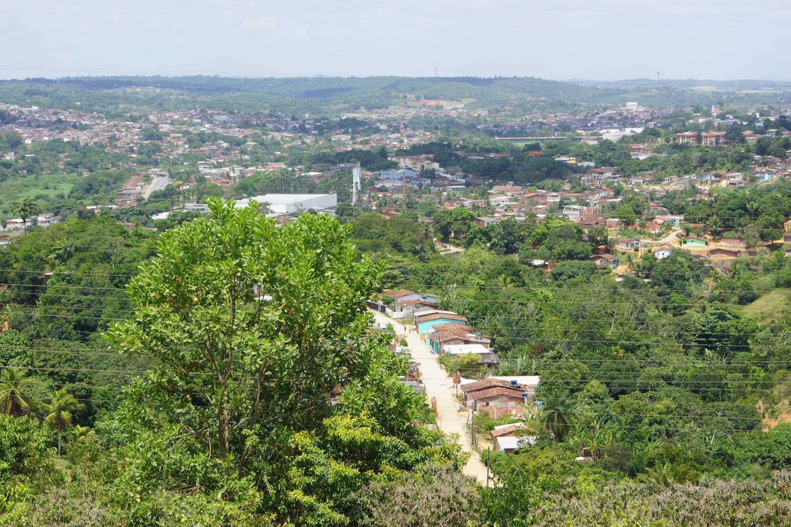 A Cidade e a História São