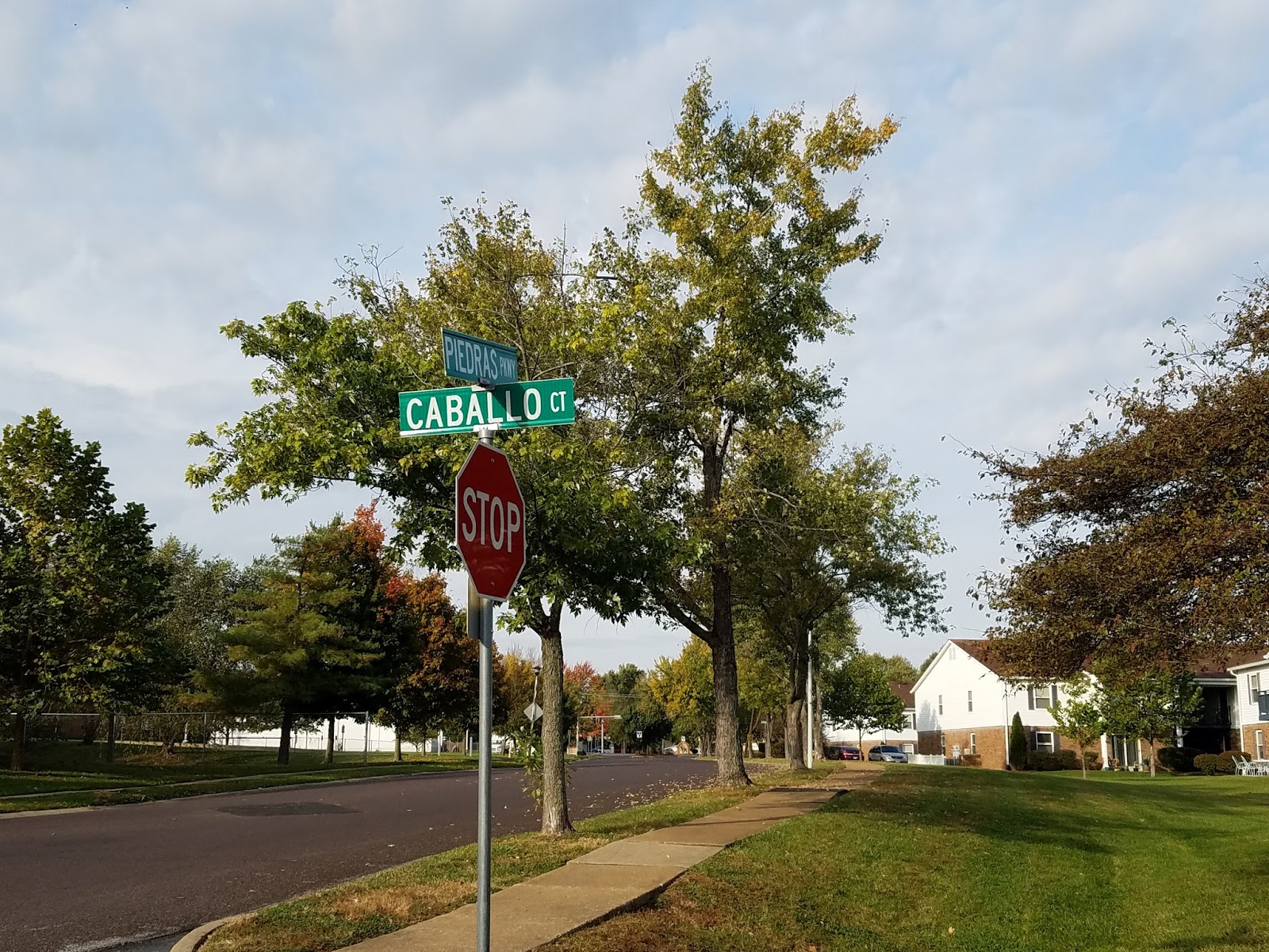 Play St. Louis Hawkins Village Playground, Fenton