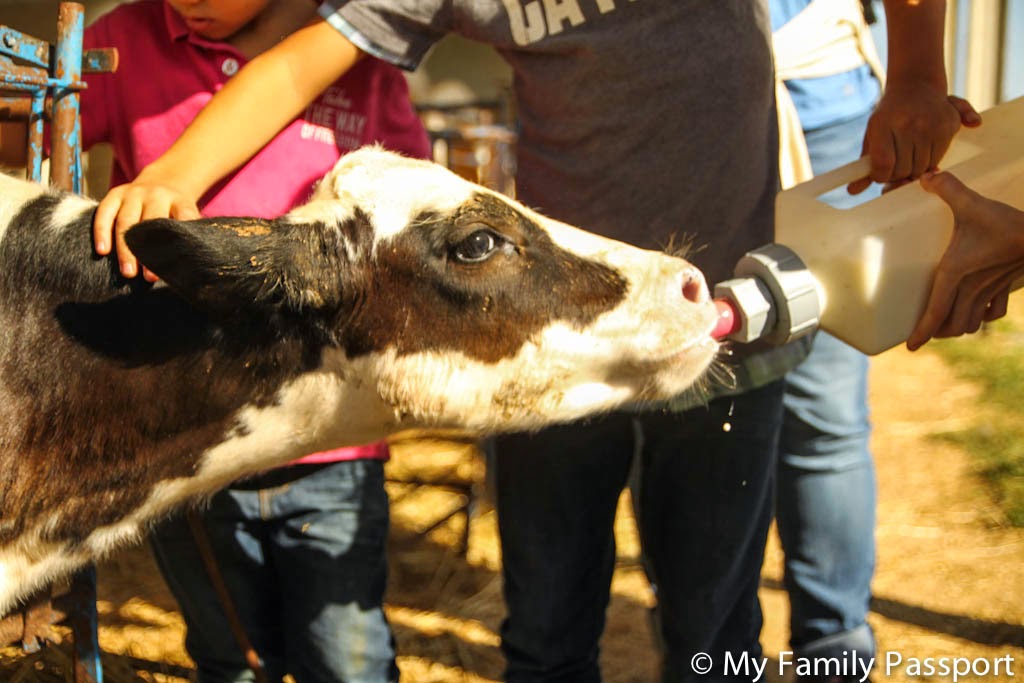 Aula Entorn rural Can Turró