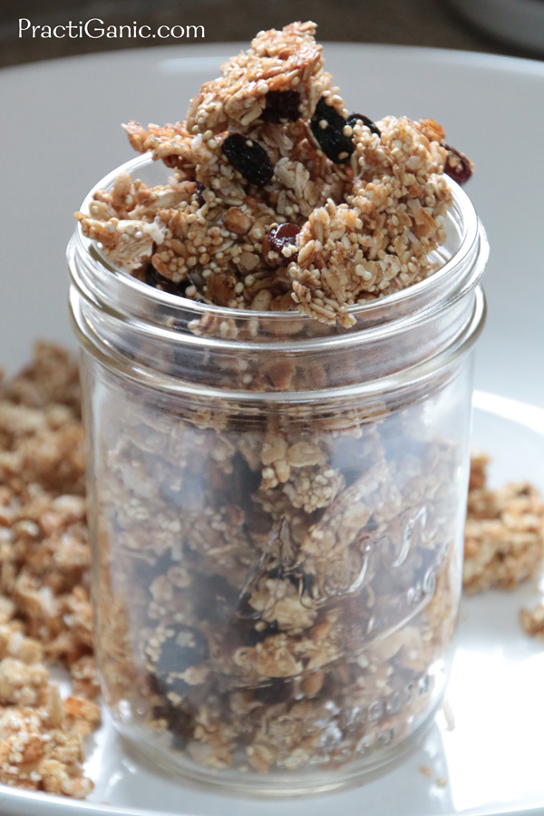 Easy Coconut Quinoa Granola Clusters PractiGanic Vegetarian Recipes
