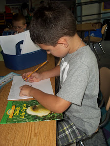 Using A Mentor Text During Book Making!