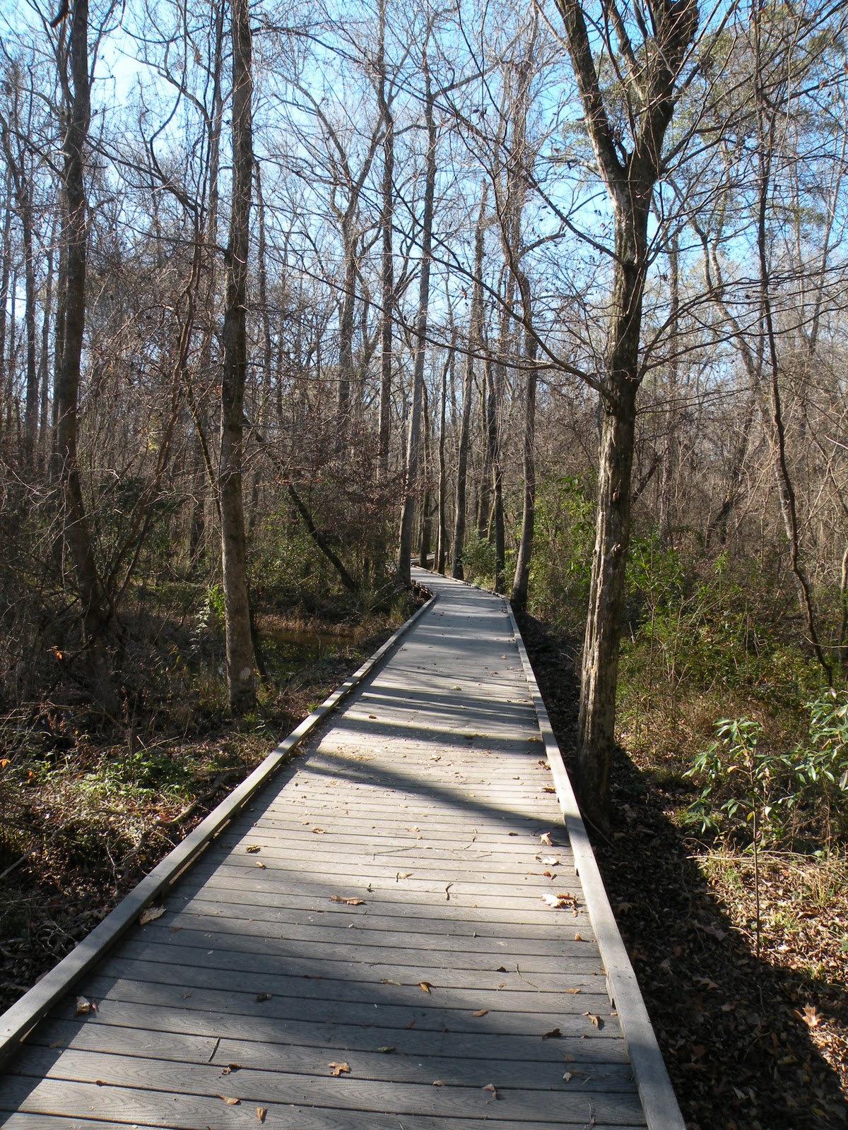 Mary's Louisiana Garden: Chicot State Park