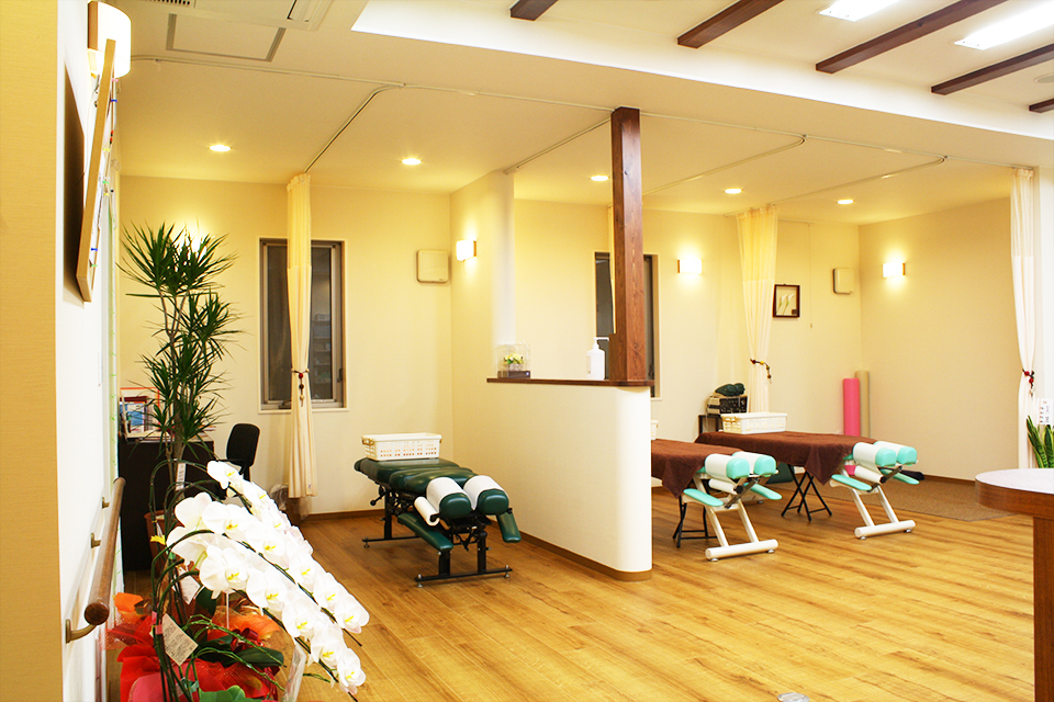 おおぐち接骨院|店舗(接骨院・整骨院)付き住宅の新築設計・デザイン、開院・開業支援Blog