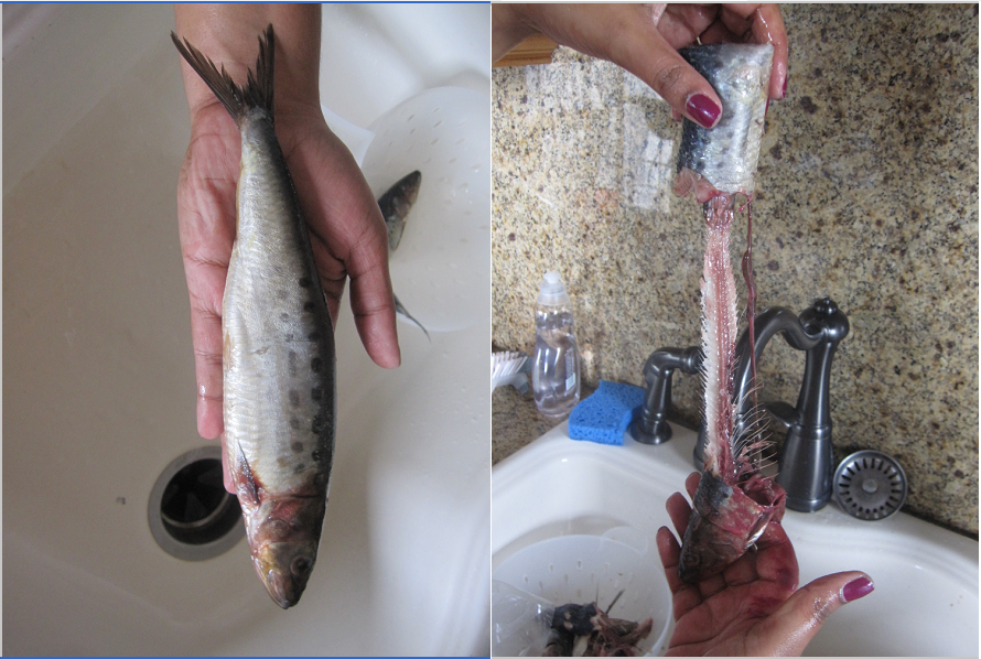 The Road to Grate... A Great American Cook Blogging through Jonathan