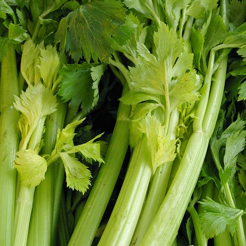 Western Celery Vs Chinese Celery: What's The Difference